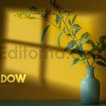 17 Realistic Shadow Overlays Collection