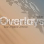 Botanical Shadow Overlays