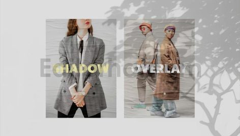 Botanical Shadow Overlays