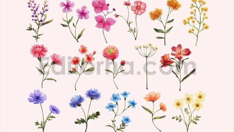 Spring Flower