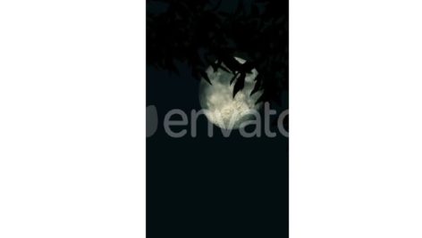 Moon in the Night Effect 4K