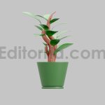 3D Leaves Tree