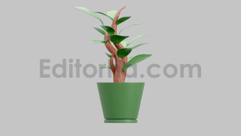 3D Leaves Tree