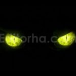 Monster Eyes
