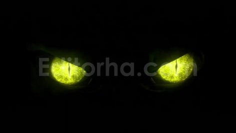 Monster Eyes
