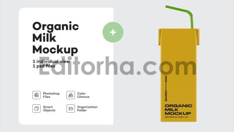 Juice Carton Box with Straw Mockup1