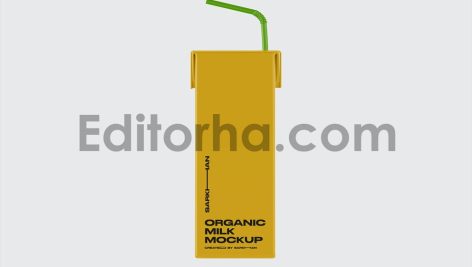 Juice Carton Box with Straw Mockup4