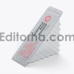 Plastic Sandwich Container Mockup 1