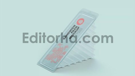 Plastic Sandwich Container Mockup 3